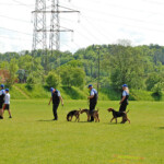 Einmarsch Team Tschechien 7372