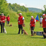 die vier Kleinen: Parson Russell "Funny Russell High Energy" von Sandra Waluschnuigg (A), FCI-OB3 / Border Terrier "Yoyo von Alzendorf" von Enzo Catarraso (CH), FCI-IFH2 / Border Terrier "Cady-Cia vom Schmittenweiher" von Klara Flückiger (CH), FCI-IFH1 / Cairn Terrier "Freckle vom Feldhof" von Marlise Neff (CH), FCI-OB1 7378