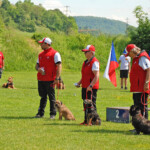 die vier Kleinen: Parson Russell "Funny Russell High Energy" von Sandra Waluschnuigg (A), FCI-OB3 / Border Terrier "Yoyo von Alzendorf" von Enzo Catarraso (CH), FCI-IFH2 / Border Terrier "Cady-Cia vom Schmittenweiher" von Klara Flückiger (CH), FCI-IFH1 / Cairn Terrier "Freckle vom Feldhof" von Marlise Neff (CH), FCI-OB1 7379