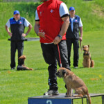 FCI-IFH 2: 2. Rang / Vizeweltmeister IFH: Enzo Catarraso (CH - SCFT) mit Yoyo von Alzendorf (Border) 7390