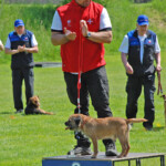 FCI-IFH 2: 2. Rang / Vizeweltmeister IFH: Enzo Catarraso (CH - SCFT) mit Yoyo von Alzendorf (Border) 7392