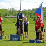 FCI-IFH 2: 1. Rang / Weltmeister IFH: Stanislav Šleitr (CZ) mit Forever Dixie Finta-Star / 2. Enzo Catarraso (CH) mit Yoyo von Alzendorf / 3. Nina Di Sisto (CH) mit Super Aria vom Happyparadise 7397