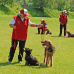 FCI-OB1 und FCI-OB2: Marlise Neff (CH) mit Freckle vom Feldhof (Cairn, OB1) und Lulu's Kayla (Airedale, OB2) 7398