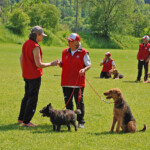 FCI-OB1 und FCI-OB2: Marlise Neff (CH) mit Freckle vom Feldhof (Cairn, OB1) und Lulu's Kayla (Airedale, OB2) 7402
