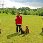 die drei Teilnehmenden des SCFT: Klara Flückiger mit Border Terrier "Cady-Cia vom Schmittenweiher", FCI-IFH1 / Marlise Neff mit Cairn Terrier "Freckle vom Feldhof" und Airedale Terrier «Lulu's Kaya», FCI-OB1 + OB2 / Enzo Catarraso mit Border Terrier "Yoyo von Alzendorf", FCI-IGH2 7427